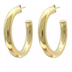14K Gold Plated Stainless Steel Hoop Earrings